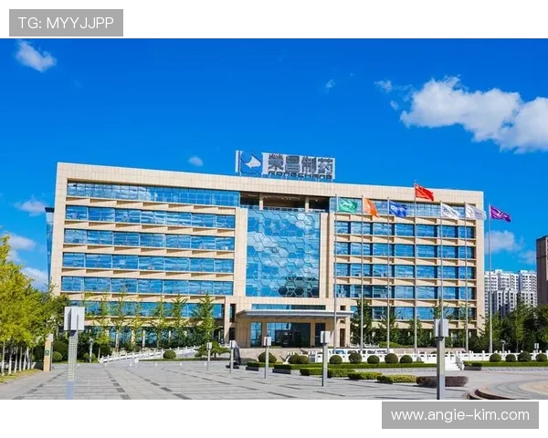 凯发天生赢家一触即发登录入口注册流程详解让你轻松开启天生赢家游戏体验